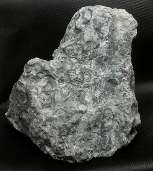 Kabamba Jaspis